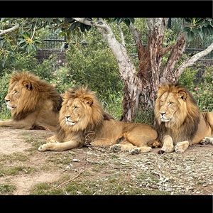 Meet your Posher, Tejal